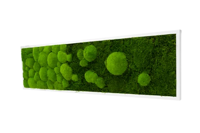 Wandbilder River Design Moosbild Wandbild kaufen Wand Moos Oster Dekoration - Bild 1 von 4