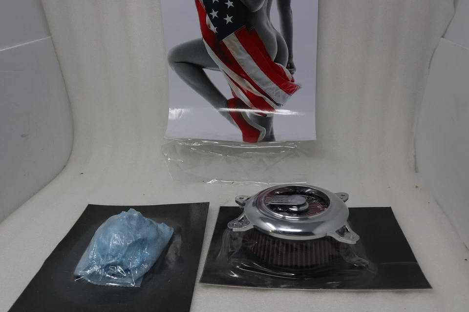 NUEVO PURIFICADOR DE AIRE VANCE & HINES RG CH 1010-2177. SE ADAPTA A HARLEY 08-16 Foto 1 de 3