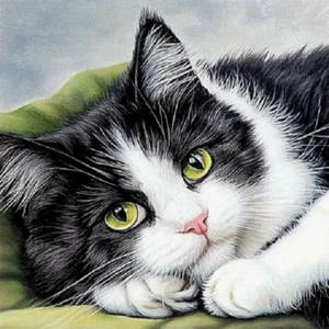 Unique BLACK TUXEDO CAT FACE PET Pendant on 925 Plated Silver 20" 22" Necklace - Picture 1 of 8