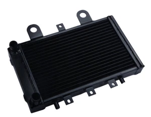 For Triumph Thunderbirds / Legends 1995-20020 98 Aluminum Radiator - Bild 1 von 6