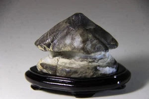 Suiseki,Bonseki,Kuzuyastone,from AbeRiver, Shizuoka Prefecture, with pedestals,w - Picture 1 of 10