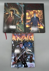 Angel After The Fall Volume 1 2 3 IDW Joss Whedon Brian Lynch Set Lot Hardcover - Picture 1 of 6