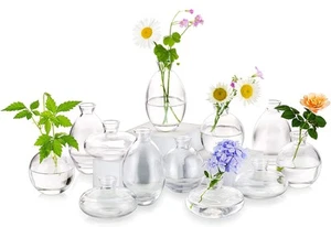 Glass Bud Vases Set of 12, Cute Clear Small Vases Handmade, Mini Glass Flower... - Picture 1 of 6