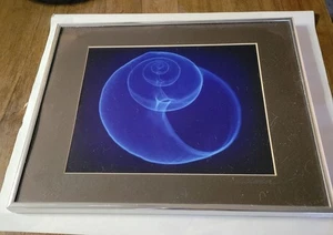 Fotografia vintage con cornice Vince Warren quadro astratto conchiglia di lumaca - Foto 1 di 2