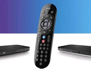 Genuine Brand New Sky Q Remote EC201 EC202 with Bluetooth Voice Control - Picture 1 of 4