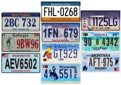 Lot 10 plaques d'immatriculation américaines métal 30x15cm USA License P10 - Photo 1/2