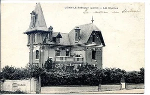 CP 45 LOIRET - Ligny-le-Ribault - Les Glycines - Picture 1 of 1
