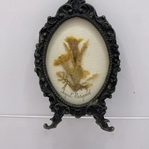 Vintage getrocknete gepresste Blumenkunst in italienischen Metallrahmen **DEFEKT** - Bild 1 von 5