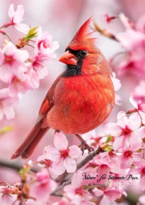 RED CARDINAL BIRD FIGURINE WALL ART PHOTO DECOR PICTURE FOR HOME LIVING ROOM - Picture 1 of 1