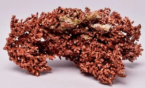 COBRE NATIVO, CLONCURRY, QUEENSLAND, AUSTRALIA M40 - Imagen 1 de 10