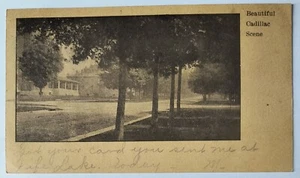 Cadillac MI Michigan Beautiful Cadillac Scene Vintage 1907 Postcard L7 - Picture 1 of 2