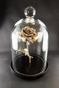 Metal Rose Infinity Rose Glass Dome Display Flower Ornament Décor Home Japan New - Picture 1 of 3