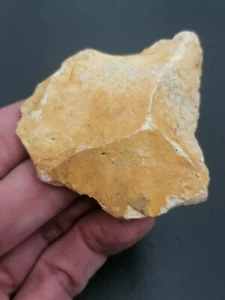 Mid Paleolithic Neanderthal France Nice Mousterian scraper on Levallois flake - Picture 1 of 14