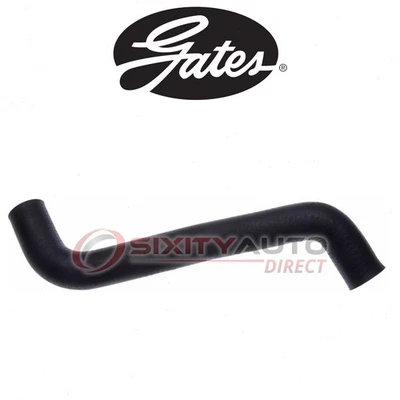 Gates Lower Radiator Coolant Hose for 1991-1992 Eagle Premier 3.0L V6 - fv - Image 1 of 4