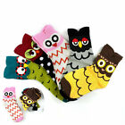 Ladies Socks for Winter New 5 Pairs Womens Cute Funny Cotton Socks  Animal Owl