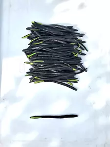 Super Floater Worms, 100 pcs - 6"- Soft Plastic Baits Lot - Spoprtsmans - B & CT - Picture 1 of 2