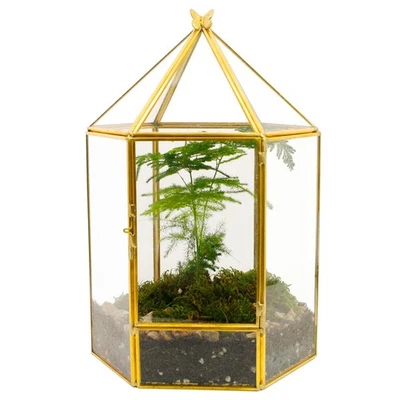 Glass Geometric Plant Terrarium,Succulent & Air Planter for Home Garden Offic... - Image 1 of 4