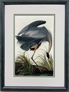 John James Audubon "Blue Heron" Custom Framed Art Print Bird Ornithology Nature