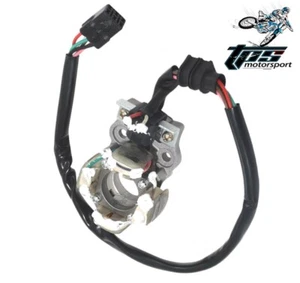 CARGADOR GENERADOR MAGNÉTICO ESTATOR BOBINA ALTERNADOR YAMAHA YZ YZF 450 F 2006 - 2009 - Imagen 1 de 2