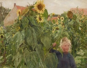 Franz Skarbina Blonde Girl In A Sunflower Bed Canvas Print 16 x 20 - Picture 1 of 4