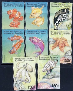 👉 COMORO IS. 1999 MARINE LIFE & FISH set #2 MNH OCTOPUS, SHELLS - Picture 1 of 1