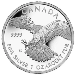 2014 Canada $5 Birds of Prey Series - Peregrine Falcon - 1 oz Fine Silver Coin - Picture 1 of 5