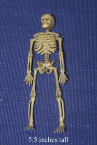Bambola scheletro scala 1:12 casa delle bambole miniatura adulto da collezione - Foto 1 di 1