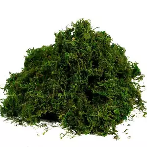 3.5 OZ Artificial Moss Fake Green Grass Table Centerpiece Garden Kitchen Decor - Picture 1 of 7