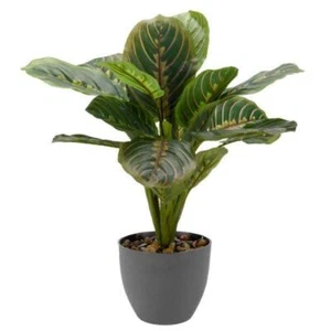 Prayer Plant / Bush Artificial Silk Flower Potted Plant Approx 33cm Pot - Picture 1 of 2