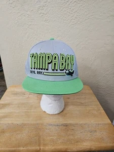 Tampa Bay Devil Rays Hat Cap New Era Brand Cooperstown Collection Green NWOTAGS - Picture 1 of 2