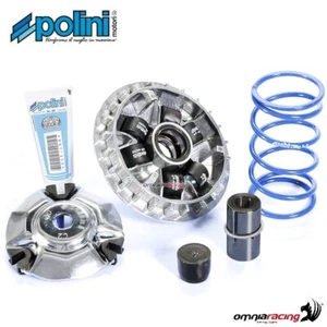 Variador de alta velocidad Polini para Honda SH125i ABS Euro4 2017> - Imagen 1 de 5
