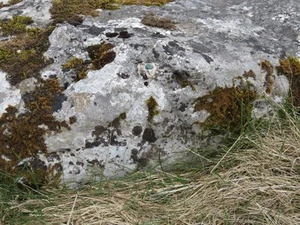 Photo 8x6 Rivet bench mark on a limestone boulder Settle This Ordnance Su c2016 - Picture 1 of 1