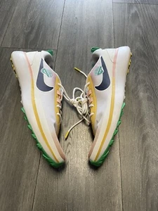 Nike Infinity Ace Next Nature NRG Golf Always Fresh Men’s Size 12.5 DX7435-007 - Picture 1 of 7