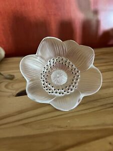 Lalique Crystal Paris France Anemone Flower with Stem 5”x4.5” Signed