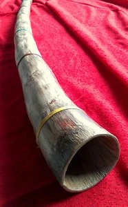 Didgeridoo artigianale in legno di Agave tonalità (SOL) - Foto 1 di 5