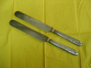 Oneida 1881 Rogers Bros. Silverplate LA CONCORDE Two Dinner Knives 9 3/8" - Picture 1 of 3