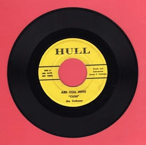 Cush Jim Cushman Are You Mine Say We're In Love HULL 45 Record Garage Teen OHIO - Imagen 1 de 2