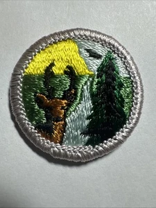 BSA Conservation of Natural Resources Blue Back Merit Badge Type H 1972-2002 - Picture 1 of 2
