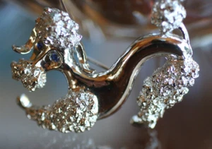 De colección:*Broche Caniche Francés Gerrys Tono Plateado Ojos de Piedra Azul Divertido*: - Imagen 1 de 8