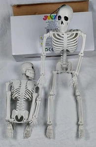 JOYIN 2pcs 16” Halloween Skeletons, Full Body with Posable Movable Joints G1 - Picture 1 of 3