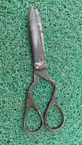Antique Vintage Old Time Fashioned Hand Forged Iron Made Scissor Classic Style - Picture 1 of 9