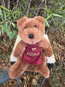 Vintage Starbucks Bearona 1998 Bearista Embroidered Apron 10”H Plush Brown Bear - Picture 1 of 9