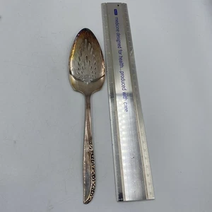 Oneida "Brittany Rose" servizio per torte traforato massiccio 9 1/2 pollici placcato argento - Foto 1 di 7