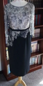 Stunning LINEA RAFFAELLI Mother of the Bride/Groom dress (14?) ***Cost £400+*** - Picture 1 of 8