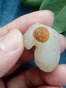 32mm seltener natürlicher Gobi Achat Augenachat, Top Suiseki - Besichtigung Sammlung Porzellan - Bild 1 von 12