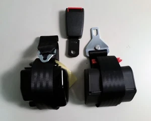 New Flyer 6336805 Belt Drivers Side Assembly 9904-000025-004 - Foto 1 di 7