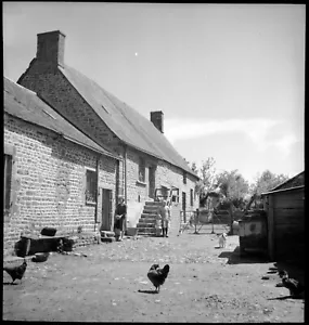 Paysage rural ferme basse cour poule famille - ancien négatif photo an. 1950 - Imagen 1 de 1