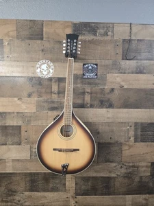 Mcneela ElectroMandolin Clean - Picture 1 of 12