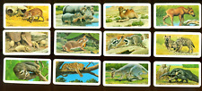 1972 ANIMALS AND THEIR YOUNG BROOKE BOND & RED ROSE TEA CARD LOT OF 18 NM/MT