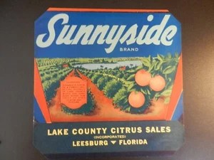 VINTAGE SUNNYSIDE CITRUS UNUSED LABEL. Approx. 9" X 9" - Picture 1 of 1